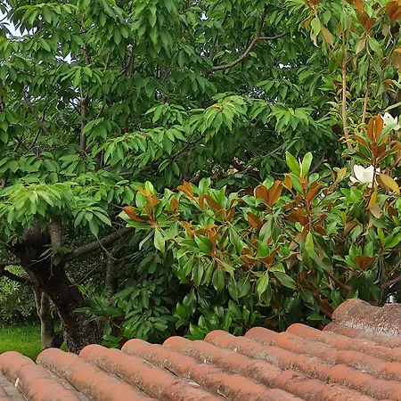 Katerina's Countryside And Sea House ניאה אירקליה