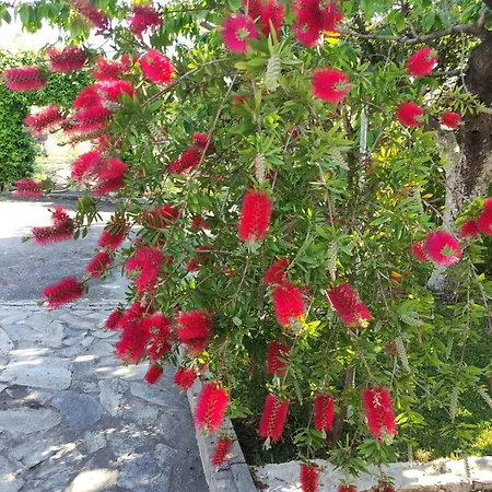 Katerina's Countryside And Sea House منزل ريفي نيا إيراكليا