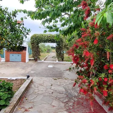 Katerina's Countryside And Sea House نيا إيراكليا