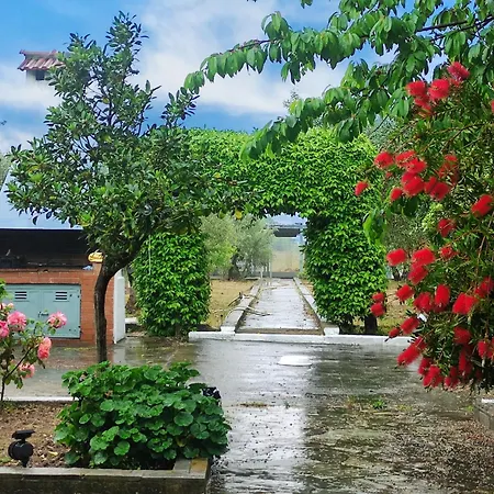 Katerina's Countryside And Sea House نيا إيراكليا