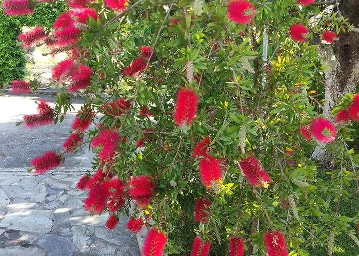 Katerina's Countryside And Sea House Vakantiehuis Nea Iraklia