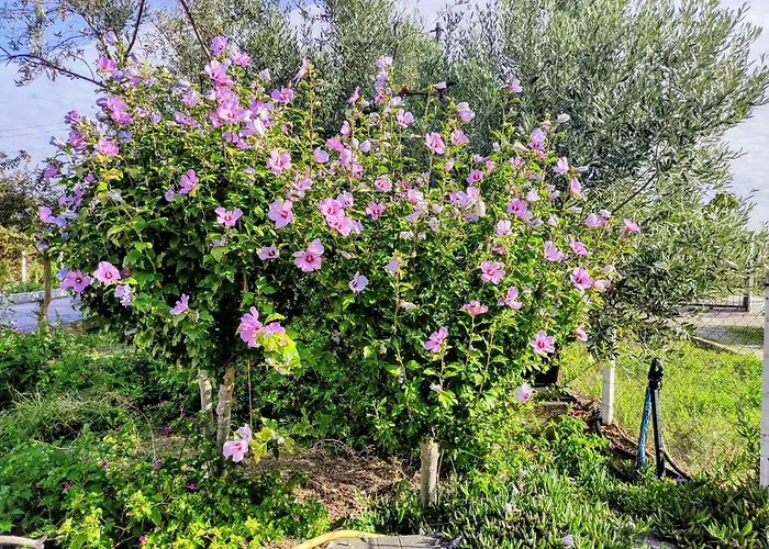 Katerina's Countryside And Sea House Nea Iraklia